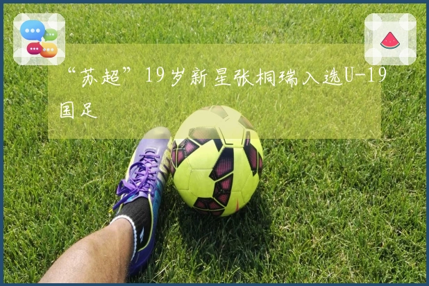 “苏超”19岁新星张桐瑞入选U-19国足